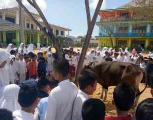 BNI Syariah Cab Kendari Salurkan hewan qurban 