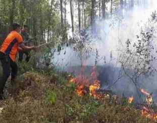 Foto Ilustrasi sumber foto Ist