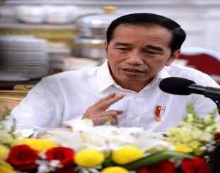 Presiden Joko Widodo 