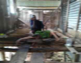 Ketgam : wa kaabe dalam kondisi terpasung / foto NR_Z
