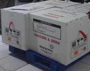 Foto istimewa 