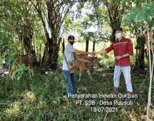 PT Sultra Sarana Bumi Menyalurkan Bantuan Hewan Kurban ke Warga
