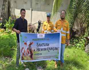 Penyaluran hewan kurban untuk warga lingkar tambang oleh PT Sultra sarana bumi 